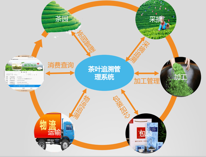 云南茶叶行业的数字化转型:‘茶’软件改变传统业态