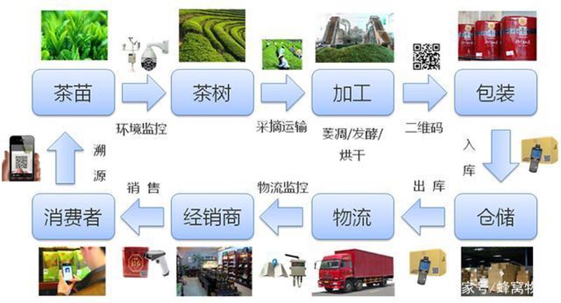 普洱茶数字化:传统工艺的现代演绎