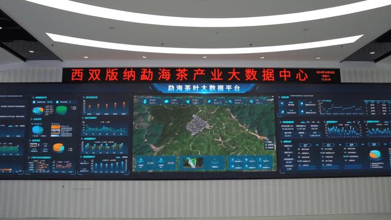 茶产业互联网:构建未来的茶园网络